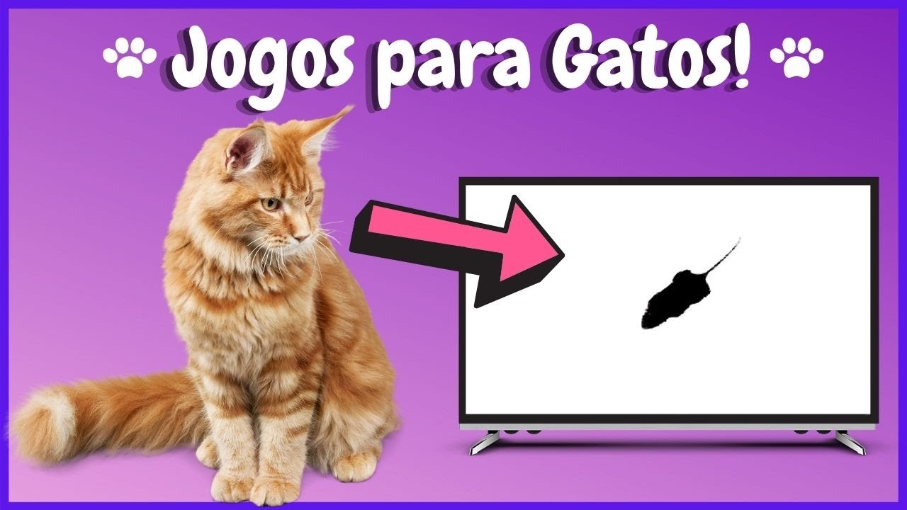 Jogos Para Gatos – Apps no Google Play