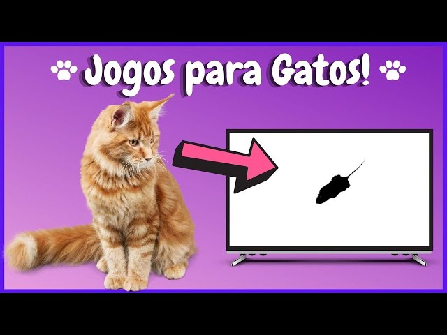 Cat Condo é o jogo para os amantes de gatinhos - Apps - SAPO Tek