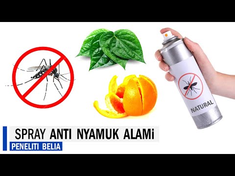 Video: Resep Rakyat Melawan Nyamuk