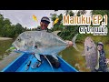 กะมงใหญ่ปากแม่น้ำอินโด River Mouth GT Maluku EP 1: