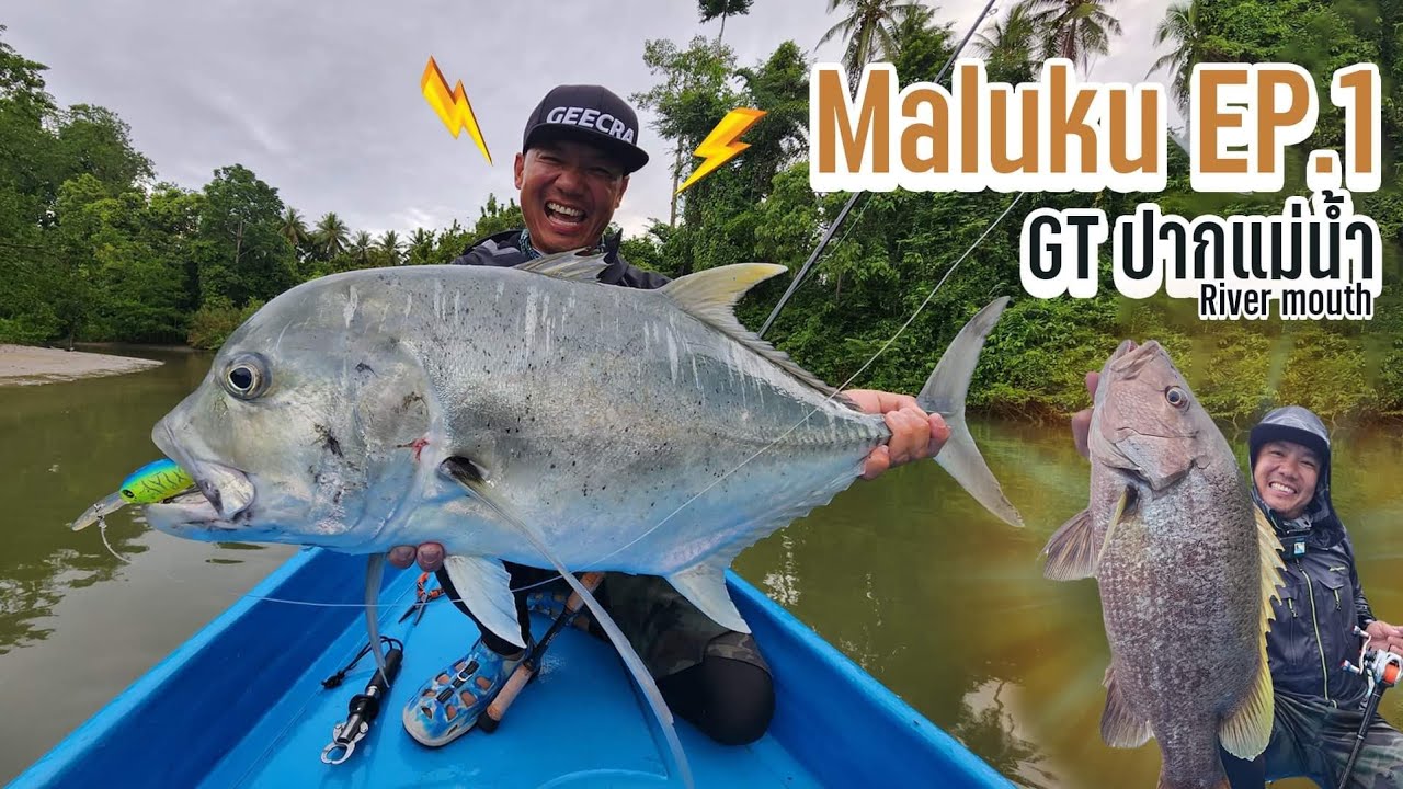 กะมงใหญ่ปากแม่น้ำอินโด River Mouth GT Maluku EP 1: