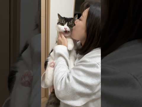 猫が可愛すぎて食べちゃった🤣 #ねこ #猫 #ネコ #ぽこ太郎 #うま次郎
