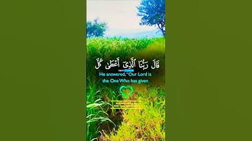 قرأن كريم راحة نفسية تلاوة خاشعة تريح الهموم #elmulquranعلم #قران_كريم #اكسبلور #المصحف #تلاوة