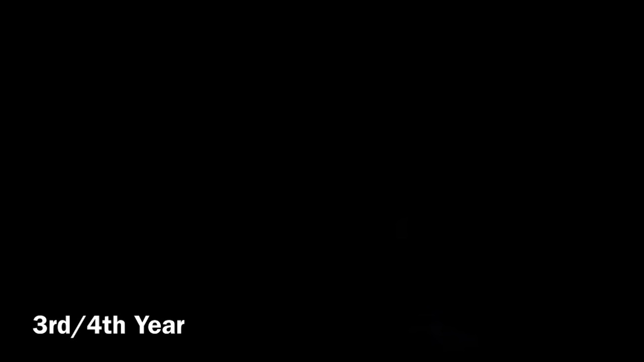 Back To You -Dramione Edit