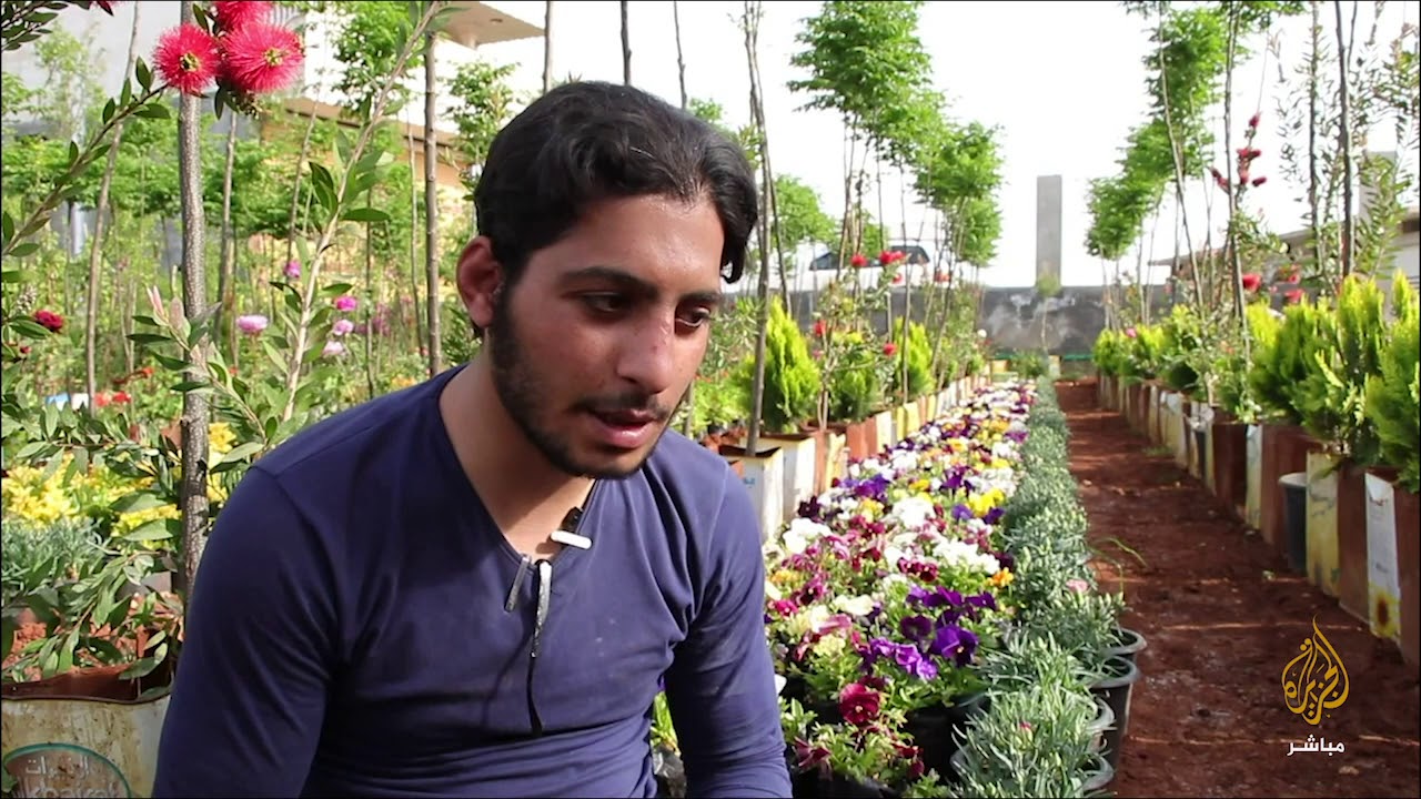 رغم الحرب والقصف.. أهالي ريف حلب الغربي يستمرون بزراعة الأشجار والورود