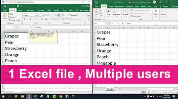 Make 1 Excel file allow Multiple Users at the same time | NETVN