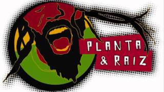 Miniatura de vídeo de "Planta e Raiz - 500 Anos Depois"