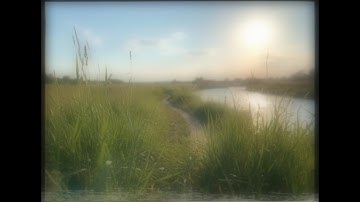 AiMusicLab - What Is Life? (Official AI Music Video)