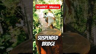 Suspended Bridge XCARET PARK,  Mexico 🇲🇽 #shorts #xcaret #mexico