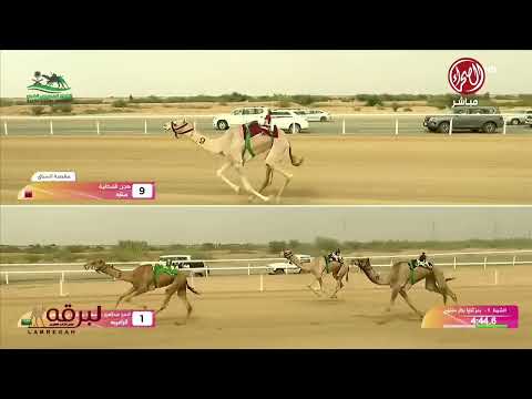 ش1 خطيرة ل الشيخ ناصر بن حمد بن عيسى آل خليفة مهرجان ولي العهد 10 09 2025م كأس ثنايا بكار 9 10 04