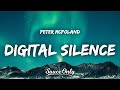 Peter mcpoland  digital silence lyrics