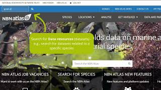 NBN Atlas Global Search tutorial screenshot 5