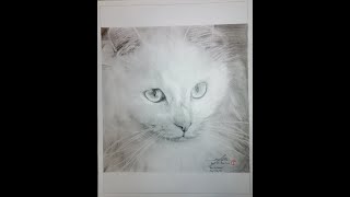 Artravelsketch