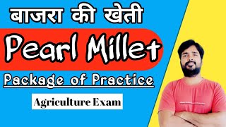 Cultivation of Bajra | Pearl millet Cultivation | Important question on Agronomy | Agronomy lecture