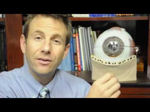 How dry eye syndrome affects the cornea and tear film - A State of Sight #94