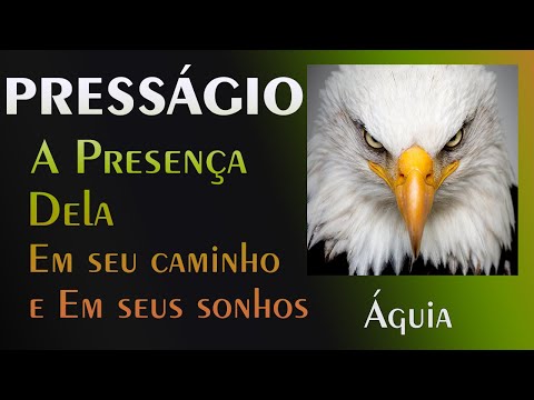 🏡 Presságio da
