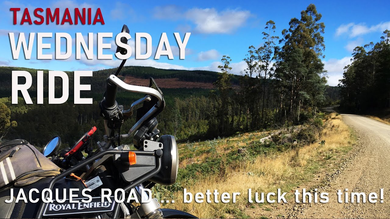 Solo Ride to Jacques Rd Loop | Royal Enfield Himalayan Adventure – Tasmania