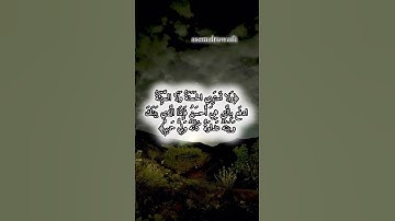 سورة فصلت❤️‍🩹🙏#قرآن #ياسر_الدوسري #الا_بذكر_الله_تطمئن_القلوب #القرآن_الكريم #قران_كريم