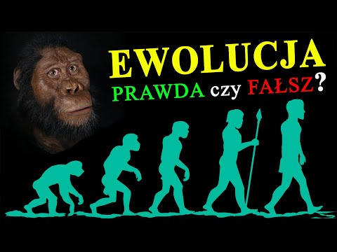 Wideo: Jakie zwierzę ma DNA najbliższe człowiekowi?