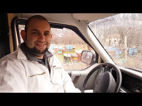 Видео: Съвети за начинаещ пчелар