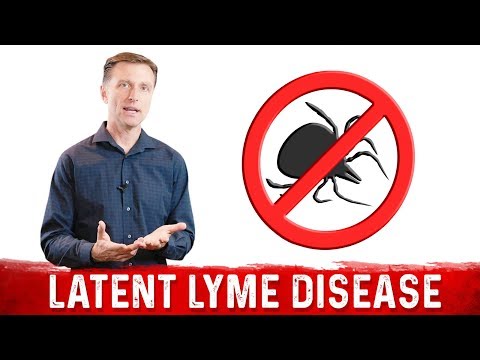 Lyme Disease Without the Tick - Is This Possible?