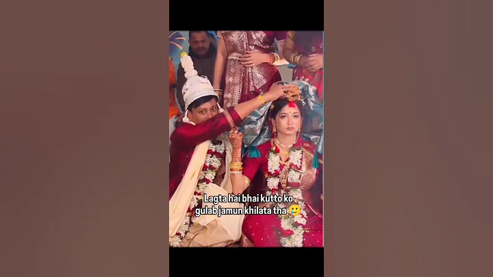 Video 11880821: funny cat cartoon animals, funny animals funniest cats, international cat