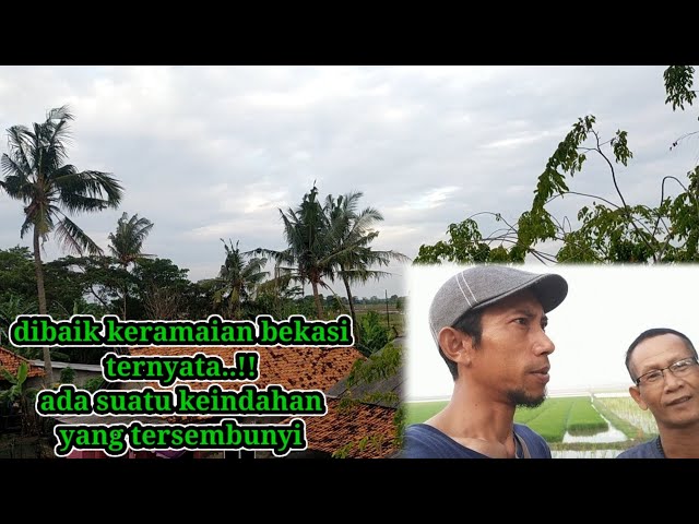 KAMPUNG INDAH PANTAI HURIP SEJUK DI JAWA BARAT BEKASI class=