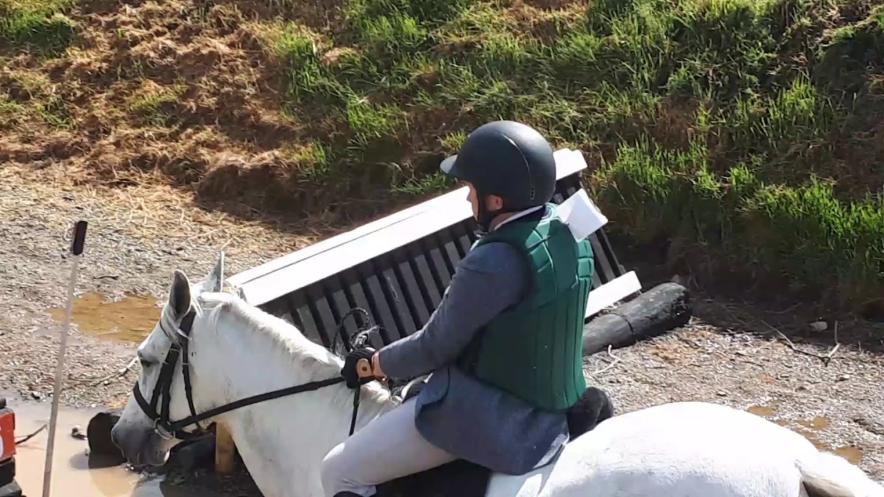 Ceide Saoirse & Shane Donohoe 2019 RDS 5&6 RDS Connemara Performance Qualifier