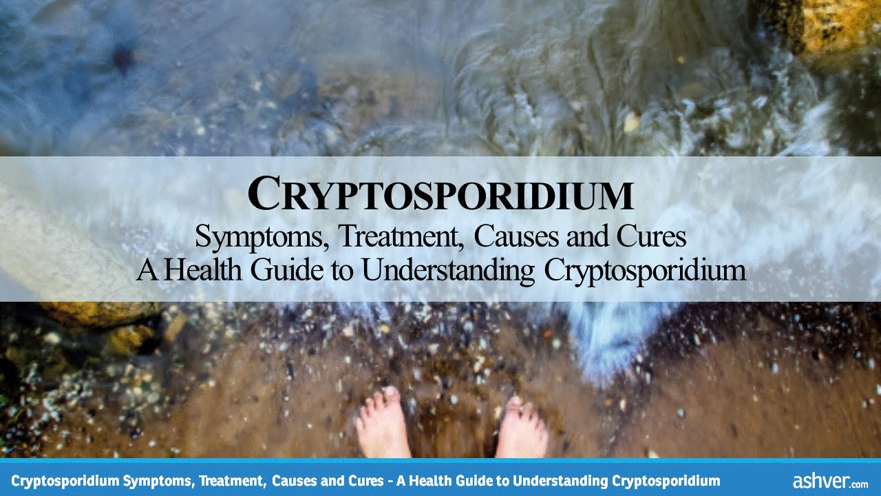 cryptosporidium și giardia în piscine