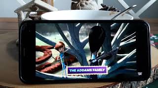 Family Movie Night Promo  November 2022 nicknite Us