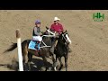 Carreras de Caballos 16 de Abril en el Hipodromo de Hermosillo