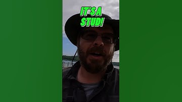 HUGE SHELLCRACKER!  Big red ear on nightcrawlers! #shorts #fishing #bluegillfishing