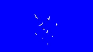 Davaidasha-Хагархай Стакан (Lyrics Video)