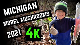 Morel Mushroom Hunting 2021 | The First Pick Southeast Michigan
