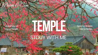 Korean Spring Music | Gurye Hwaeomsa Red Plum Blossom  | Birds & Temple Ambience | Study with Me