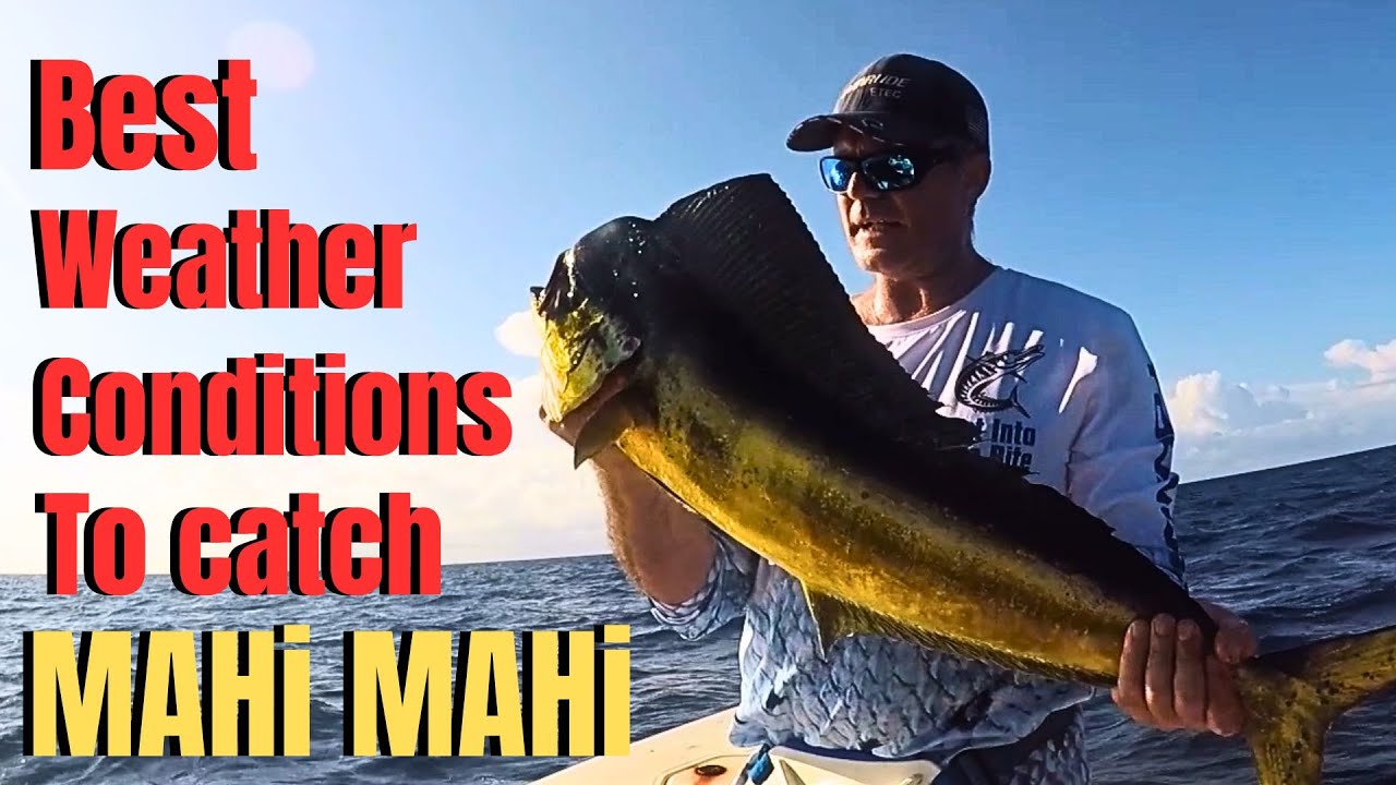 Best weather conditions to catch MAHI MAHI 