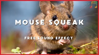 Mouse Squeaking - No Copyright, Music & Sound Effects Pro, Royalty Free, Vlog Creation screenshot 4