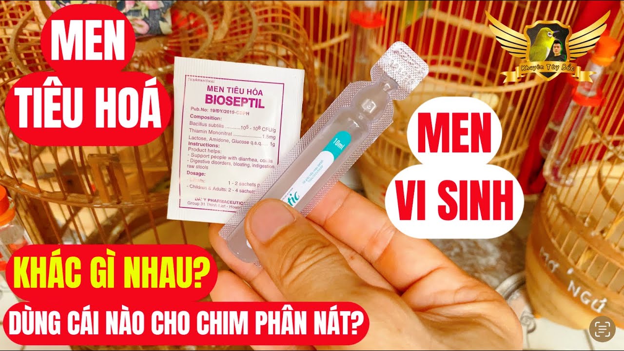 Chữa Khuyên Đi Ngoài Phân Nát - Dùng Men Tiêu Hoá Hay Men Vi Sinh Có Khác Gì Nhau Không | KTB