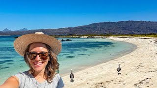 AMAZING ISLAND in Loreto Baja California Sur