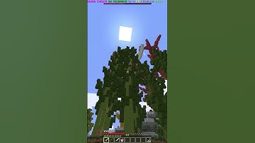 Why Are People Fishing In The Hypixel Pit?!