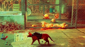 Stray Rooftops walkthrough. How to Install the Transceiver from Momo. Stray Gameplay