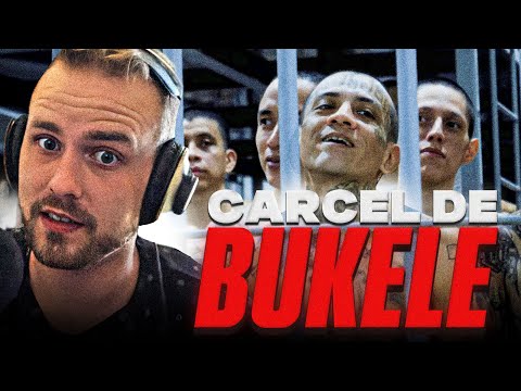 REACCIÓN A LAS CÁRCELES DE NAYIB BUKELE // Nick Daboom