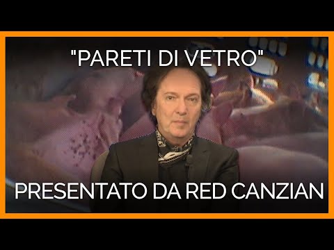 "Pareti di vetro", presentato da Red Canzian