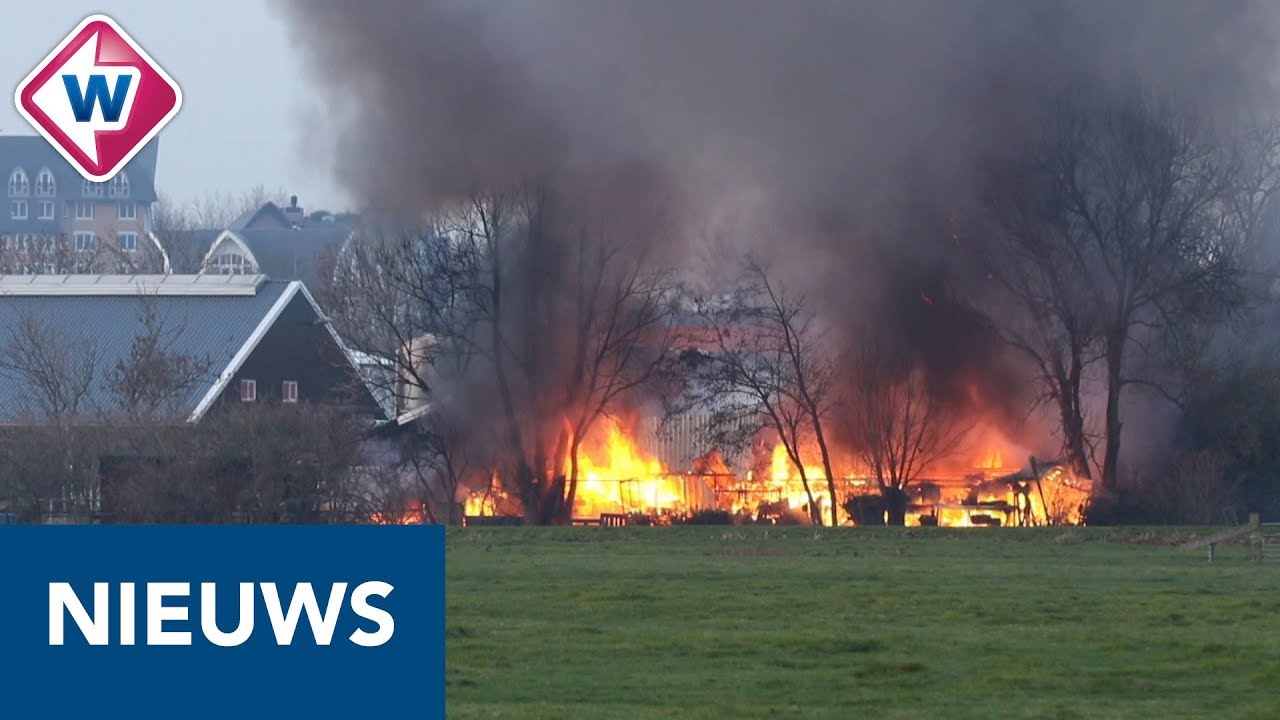 Paarden ontsnappen aan de dood door snel handelen bij brand manege - OMROEP WEST