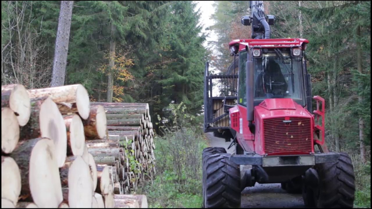 Holzmann & Holzmann OG