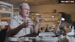 Digitising sea monsters | Project DIG