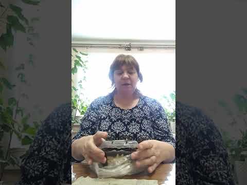 как посадить семена ежевики