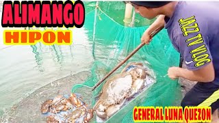 catch & cook/ Panghuhuli Ng alimango at hipon / general Luna quezon/ jazz tv vlog