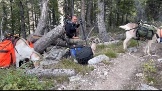 4 day, crazy Idaho elk hunting, backpacking adventure. by Jason Rossman 5,320 views 4 months ago 28 minutes