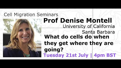 Cell Migration Seminar #11: Denise Montell